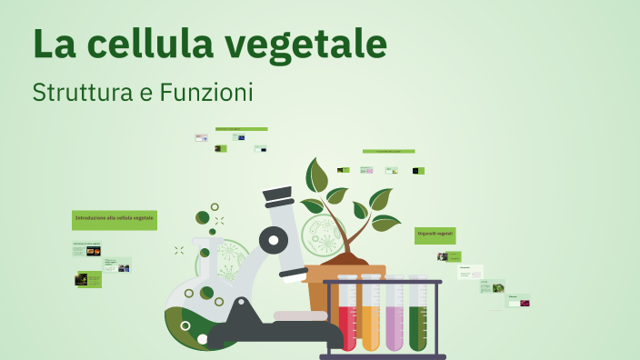 La cellula vegetale by Ylenia Piazza on Prezi