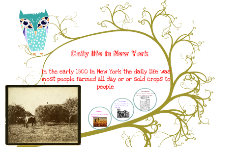 1800 new york life