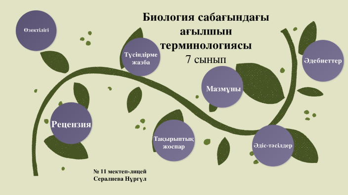 Авторлық бағдарлама презентация