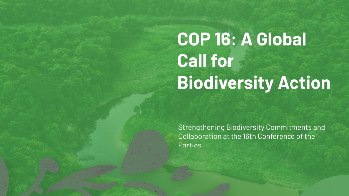 COP 16: A Global Call for Biodiversity Action by david chois on Prezi