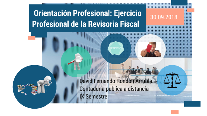 Orientación Profesional Ejercicio Profesional De La Revisoria Fiscal