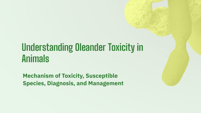 Understanding Oleander Toxicity in Animals by s Rungsung on Prezi