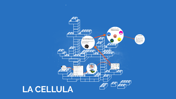 LA CELLULA by Giogabry Gioele on Prezi