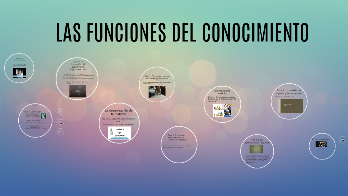 Cual Es La Funcion Del Conocimiento