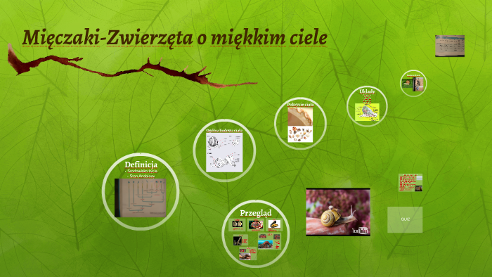 Mięczaki-Zwierzęta o miękkim ciele by Maciej Piekarski on Prezi