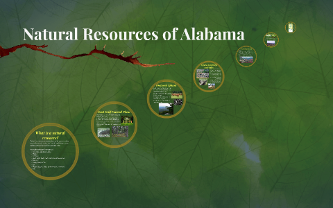 Natural Resources Of Alabama By On Prezi