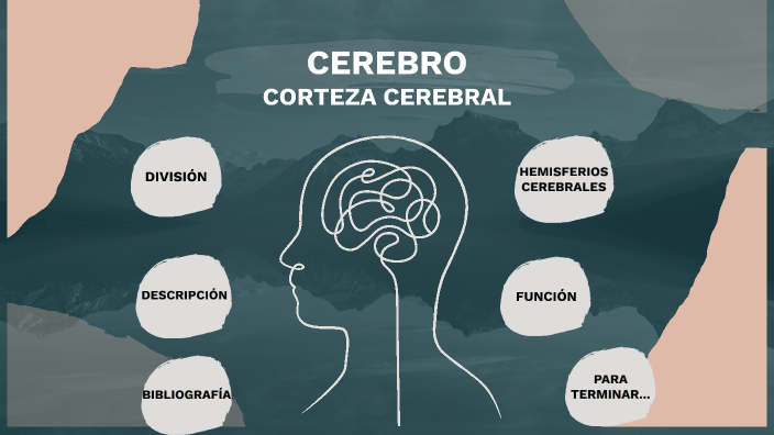 Corteza cerebral by Fiorella Di Meglio on Prezi