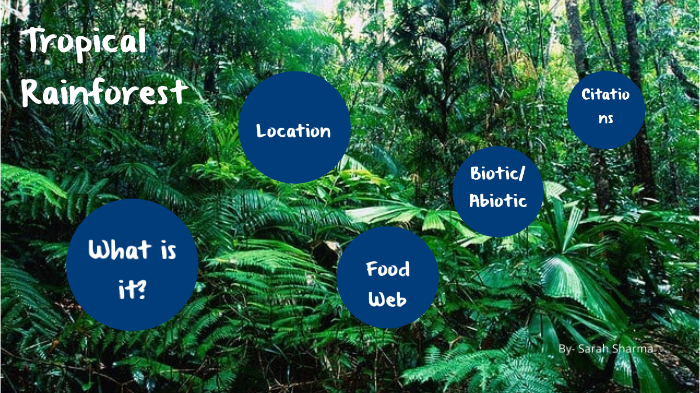 Tropical Rainforest Biome! by Sarah Sharma on Prezi