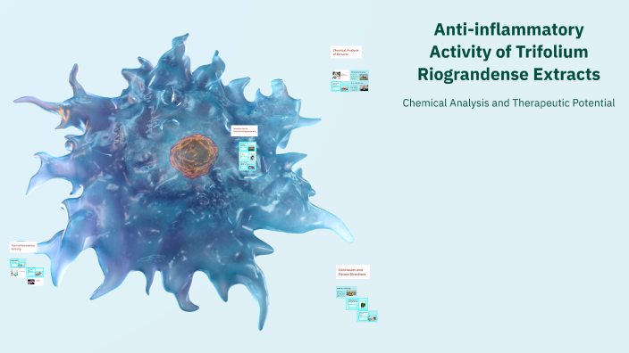 Anti-inflammatory Activity of Trifolium Riograndense Extracts by Rimsha ...
