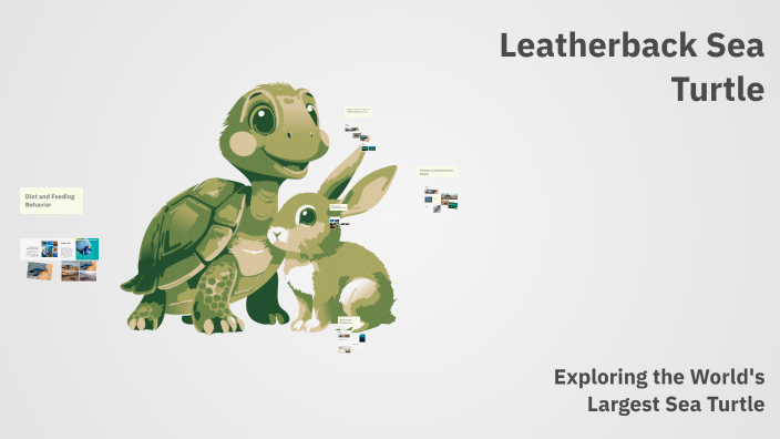 Leatherback Sea Turtle by cadence moore on Prezi
