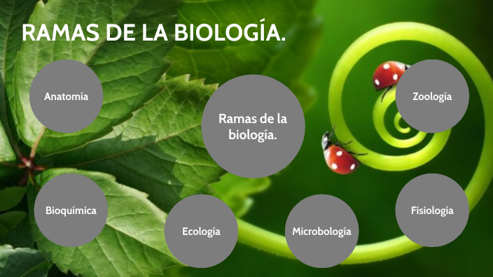 Ramas de la bilogia by Francisco Niño Sarmiento on Prezi