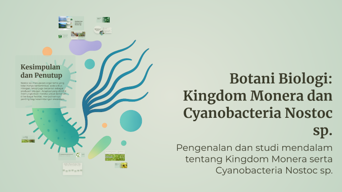Botani Biologi: Kingdom Monera dan Cyanobacteria Nostoc sp. by sya zani ...