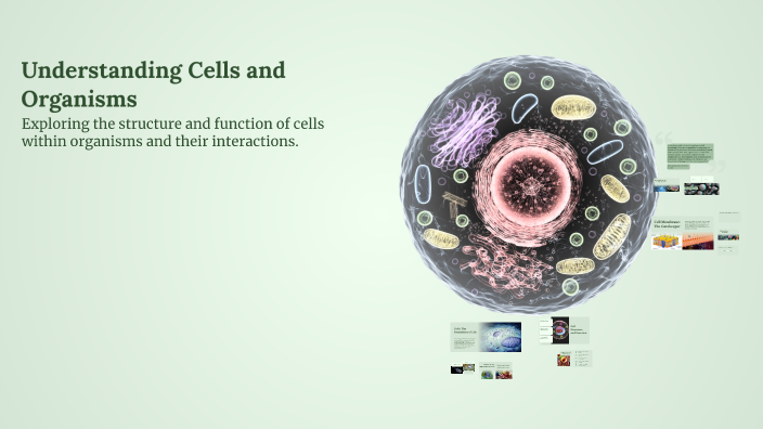 Understanding Cells and Organisms by Sai Pranav Reddy on Prezi