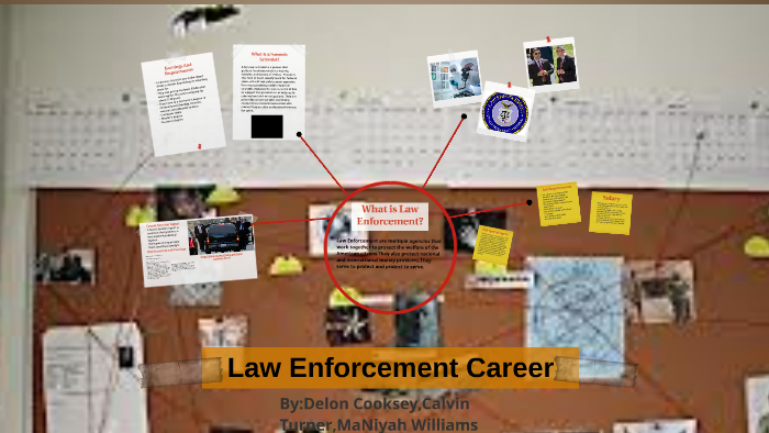 what-is-law-enforcement-by-delon-cancnaj