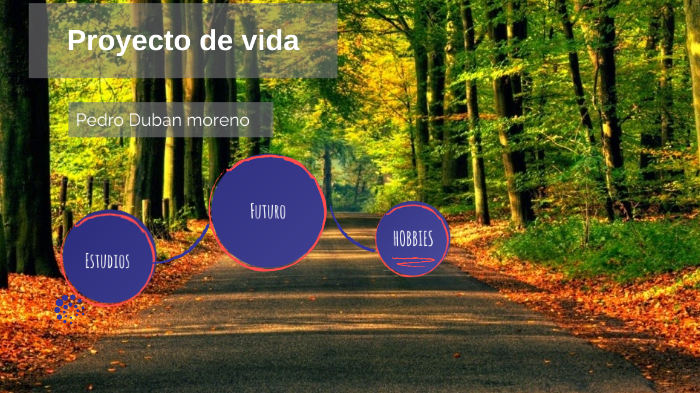 proyecto de vida by Pedro Moreno on Prezi