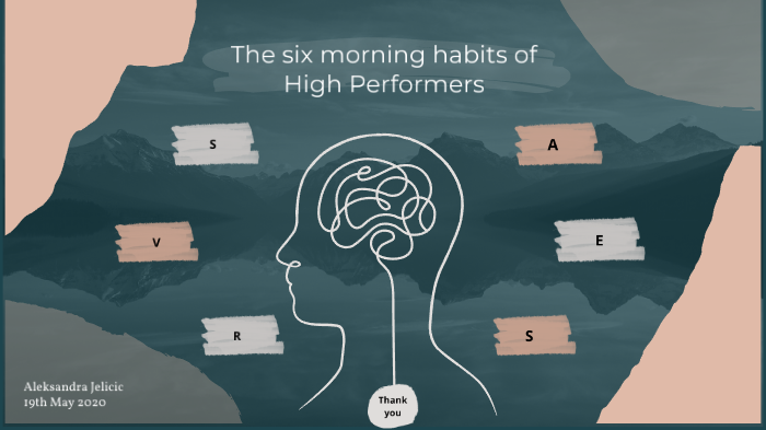 daily habits of high performers
