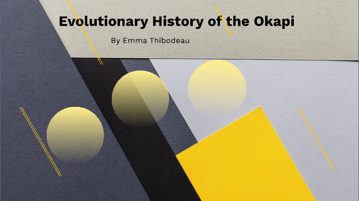 Evolutionary History of the Okapi by Emma Thibodeau on Prezi