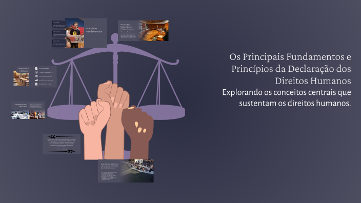 Os Principais Fundamentos e Princípios da Declaração dos Direitos ...