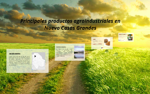 Principales productos agroindustriales en Nuevo Casas Grande by Isabel  Valverde R