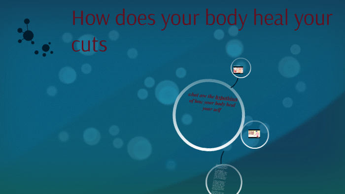 how-does-your-body-heal-your-cuts-by-ethan-mulingtapang