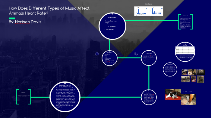 Rate Does Music How Affect Heart