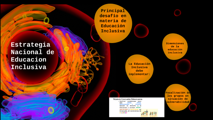 Estrategia Nacional De Educacion Inclusiva By Karla Martinez On Prezi 2737