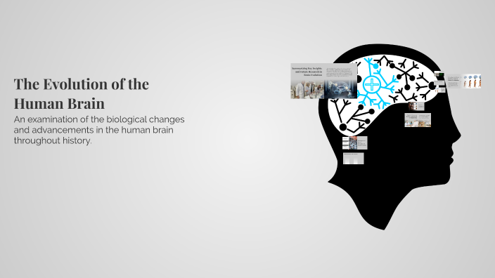 The Evolution of the Human Brain by Hazel Stewart on Prezi