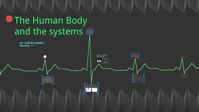 The Human Body by charlie. s on Prezi