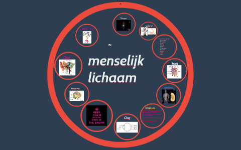 menselijk lichaam by britt van der kooi on Prezi