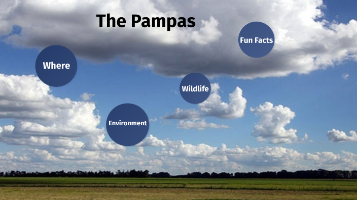 Pampas by Holly Jackson on Prezi