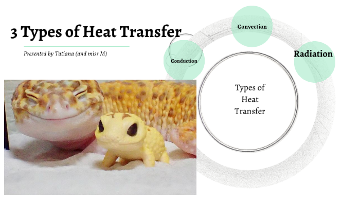 Three Types of Heat Transfer by TATIANA NUNEZ on Prezi