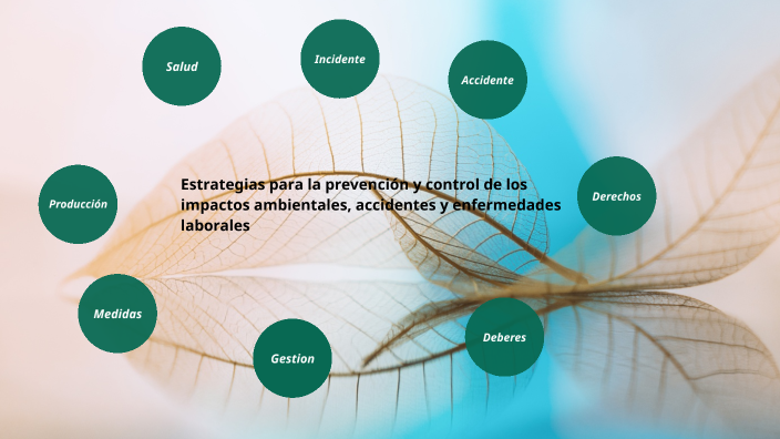 Presentación Sobre Las Estrategias Para La Prevención Y Control De Los ...