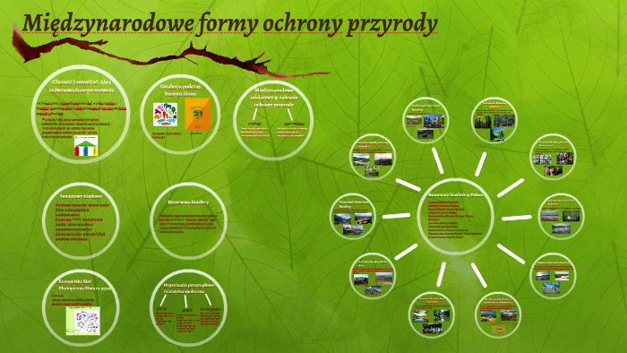 Międzynarodowe formy ochrony przyrody by Julka Wójcik on Prezi