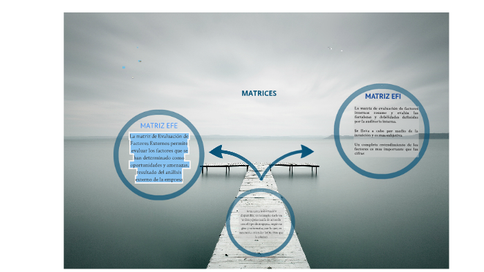 MATRIZ EFI Y EFE by Elisa Monterrubio on Prezi