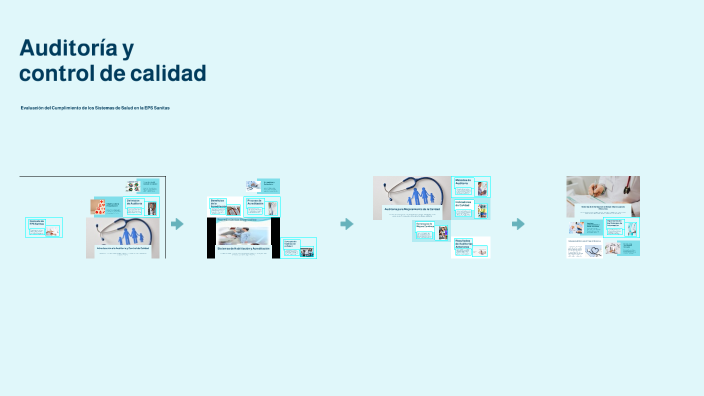 Auditoría y control de calidad by Maria Frieri on Prezi