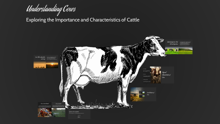 Understanding Cows by Golden Deni on Prezi