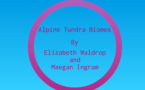 Alpine Tundra Biomes By Maegan Ingram