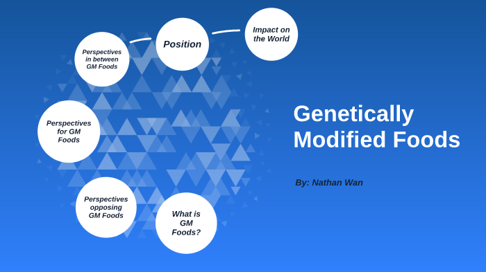 What Is Gm >> Gm Foods By Nathan Wan On Prezi Next What Is Gm >> Gm Foods By Nathan Wan On Prezi Next