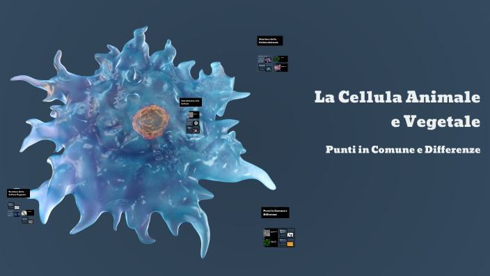La Cellula Animale e Vegetale by Francesco Rocco on Prezi