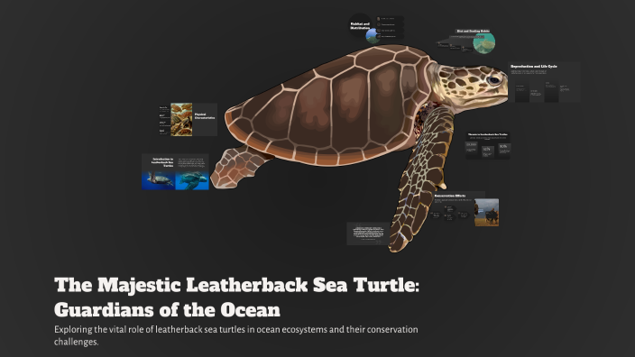 The Majestic Leatherback Sea Turtle: Guardians of the Ocean by Lucy ...