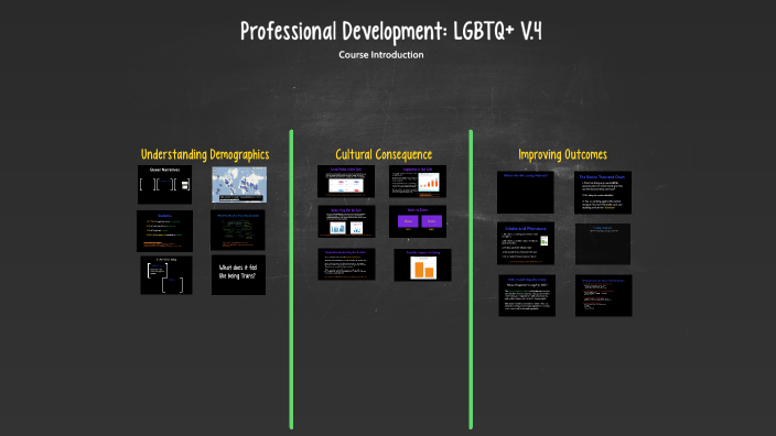 Elder Professional Development Training: Healthcare V.4 by Faye Seidler ...