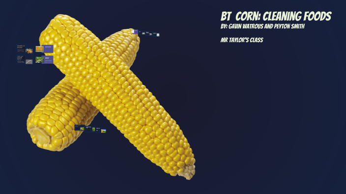 Genetically Modified BT Corn Project by Gavin Watrous on Prezi