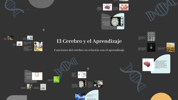 El Cerebro y el Aprendizaje by NATALIA ROBAYO on Prezi