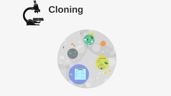 Cloning - Ethics Presentation by Grace yu" on Prezi