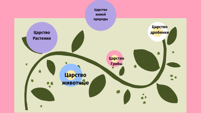 Заполни схему царства живой природы