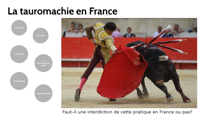 Octopus intelligence overview