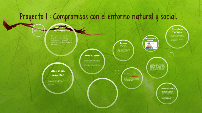 Proyecto 1 : Compromisos con el entorno natural y social. by Cesiah
