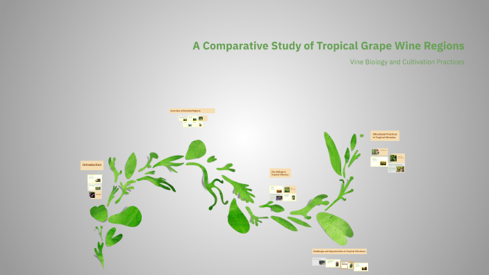 A Comparative Study of Tropical Grape Wine Regions by Hugo Falcão on Prezi