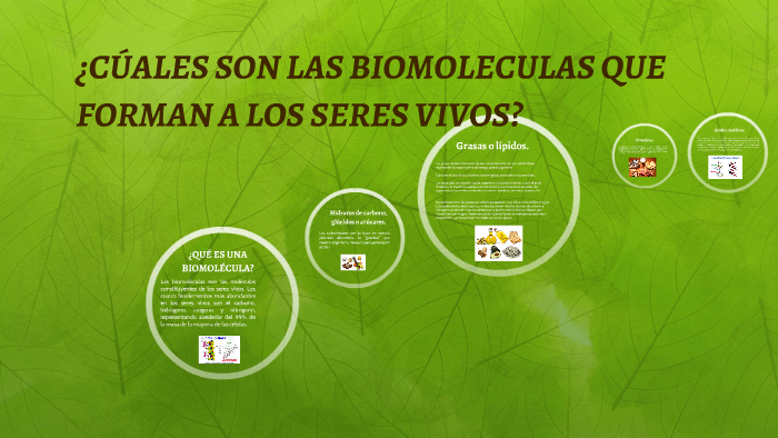 ¿cÚales Son Las Biomoleculas Que Forman A Los Seres Vivos By David Ventura