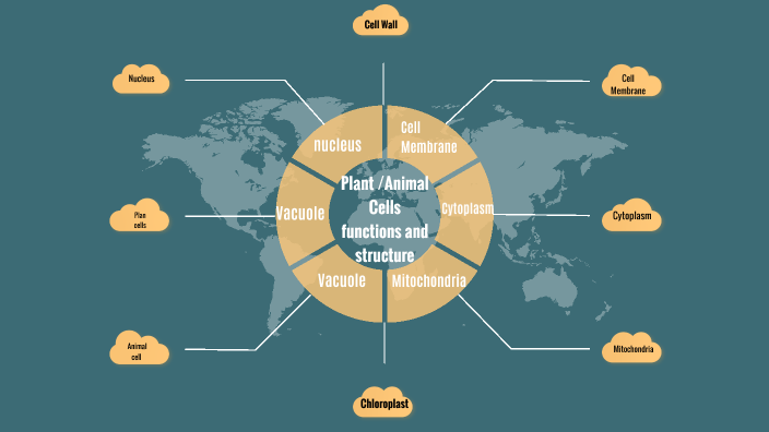 Plant cell/ Animal cell project by Darick Fisher on Prezi